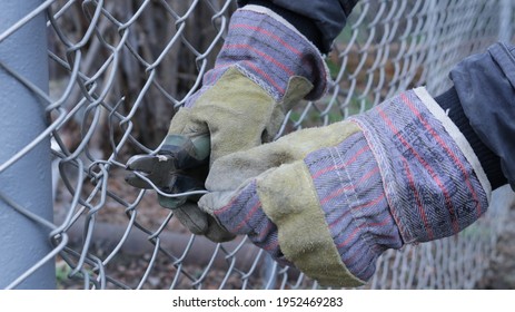 Installing And Securing A Galvanized Mesh To A Metal Post When Creating A Fence On A Farm Or Backyard, Biting Off A Wire When Attaching A Fence Using Wire Cutters In Hands Wearing Thick Fabric Gloves