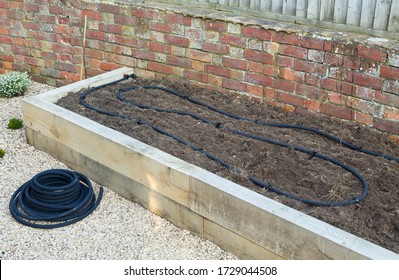 Installing Soaker Hose, Water Irrigation System In Vegetable Garden, UK