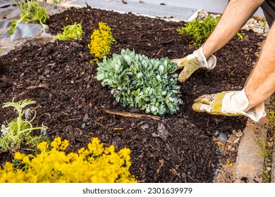 Installing weed control fabric material and bark mulch in a residential garden to control weed spreading