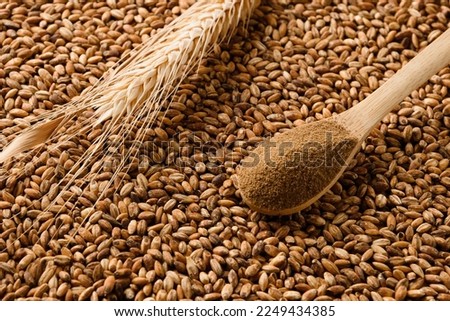 Instant caffeine free organic barley powder in spoon, ears of barley and roasted beans as background. Alternative substitute coffee. Close up.