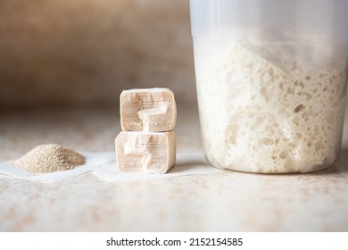 Instant And Fresh Yeast And Sourdough In A Jar. Natural Leavening Agents For Baking. 