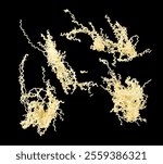 Instant noodle fly in mid air. Pouring instant Noodle fall spill splash. Noodle food is ramen Japanese soup Chinese. Black background isolated