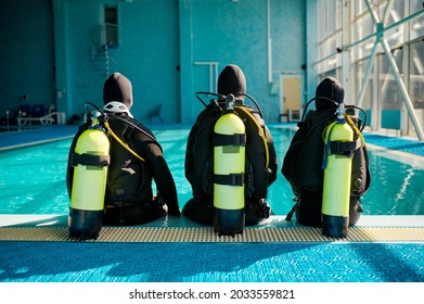 Instructor and two divers in suits, back view