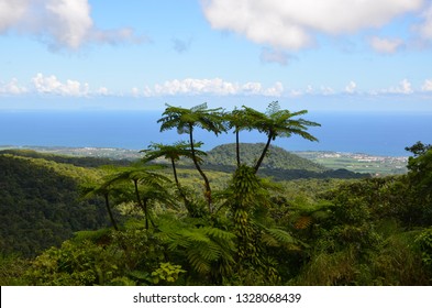 Insular Landscape, Guadeloupe Island, The Lesser Antilles, Carribean Sea