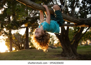 Insurance Kids. Health Care Insurance Concept For Kids. Medical Healthcare Protection. Kid Boy Trying To Climbing On The Tree