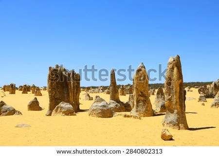 The intact limestone column formations within Nambung National P