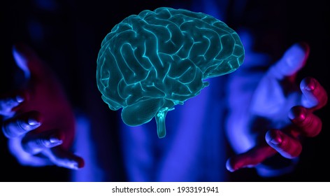 Cerveau Images Photos Et Images Vectorielles De Stock Shutterstock