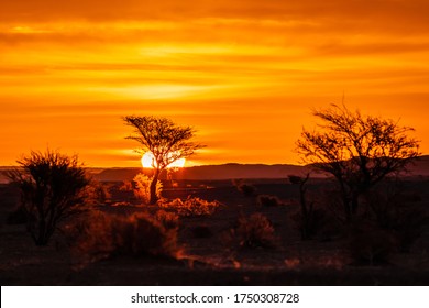 Intensa puesta de sol de colores en los terrenos del desierto del Sahara Foto de stock