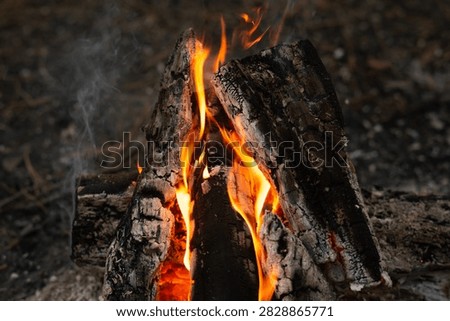 Intense Flames and Burning Logs in Forest Campfire. Detailed horizontal image focusing on bright, crackling flames engulfing wooden logs in an open-air campfire.