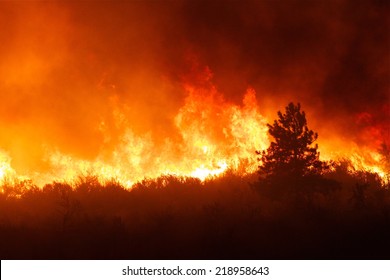 Intense Flames From A Massive Forest Fire. Flames Light Up The Night As They Rage Thru Pine Forests And Sage Brush.    The Carlton Complex Wild Fire Was Washington State's Largest Fire In History. 