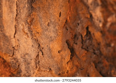 Intense full frame orange rust macro texture on a weathered rustic rock surface. High definition close up showing heavy oxidized iron corrosion, decaying metal elements, and earthy brown mineral deposits. Rugged, scratched, and cracked grunge material backdrop, perfect for industrial manufacturing concepts, mechanical decay illustrations, vintage textures, and high impact abstract graphic design backgrounds.