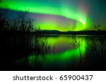 Intense northern lights (Aurora borealis) over Lake Laberge, Yukon Territory, Canada, with silhouettes of willows on lake shore.