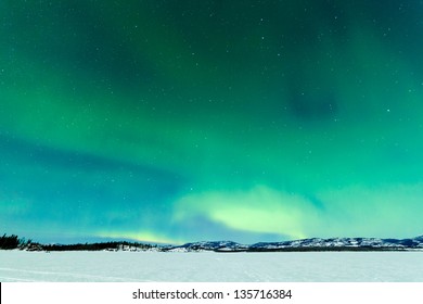 Intense Northern Lights or Aurora borealis or polar lights on moon lit night sky over winter landscape of Lake Laberge  Yukon Territory  Canada
