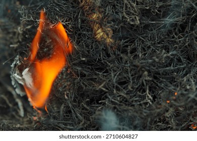 Intense orange flame devouring dry, organic material in a controlled combustion, highlighting the destructive yet mesmerizing power of fire as it transforms matter into ash and light
