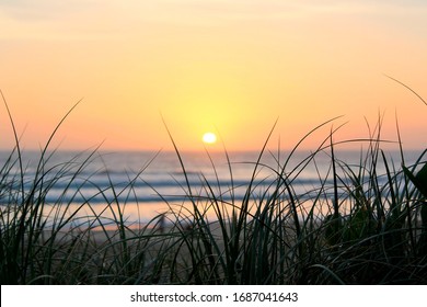 Intense Sunrise Over A Beach With The Silhouette Of Sand Dune Grass.