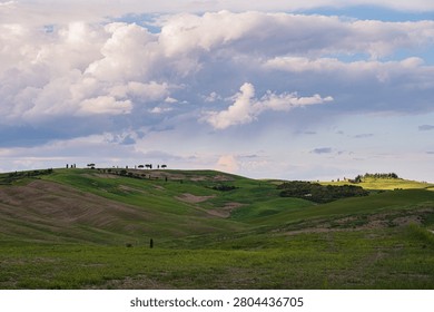 An intense sunset with light illuminating the cloudy sky over a typical Tuscan landscape of green hills and cypress trees, siena, tuscany