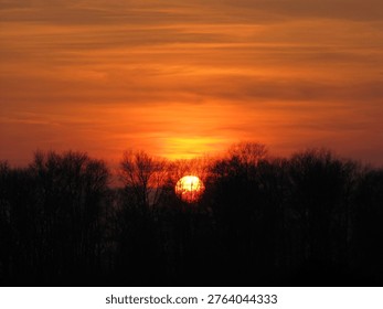 Intense sunset as sun dips below a ridge of backlighted tree tops.                            