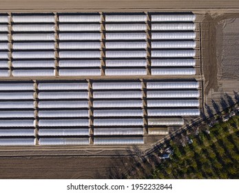 Intensive Farming, Aerial View Of Greenhouse Fields 