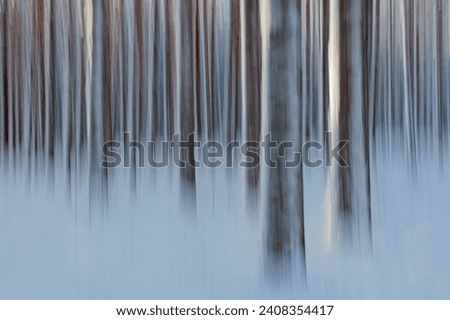 Intentional camera movement (ICM) image of a dream like view of forest tree trunks in winter with snow on the ground created by motion blur, Kallahdenniemi, Helsinki, Finland.