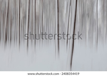 Intentional camera movement (ICM) image of a dream like view of forest tree trunks in winter with snow on the ground created by motion blur, Kallahdenniemi, Helsinki, Finland.