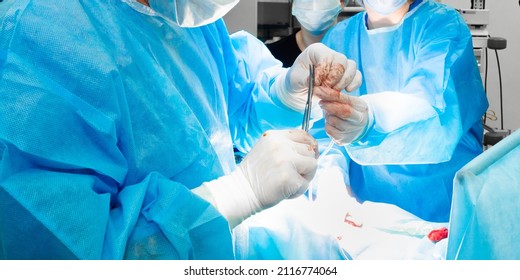 Interaction Of Hands Of Surgeons During Surgery. Selective Focus. The Doctor In Sterile Gloves Holds Surgical Scissors. Surgeons Treat A Patient In The Operating Room.