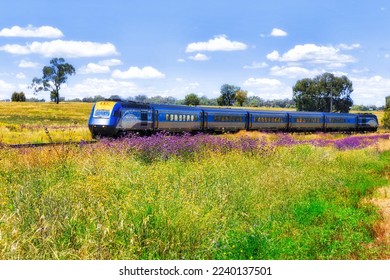 Intercity passenger train on Australia NSW central west meadow green field. - Powered by Shutterstock