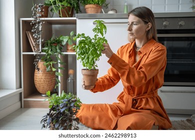 Interested woman takes care of home-grown green basil herbs, cuts leaves, sitting on kitchen floor. Female gardener pays attention to care of houseplants, tends, prunes excess and harvests crop. - Powered by Shutterstock