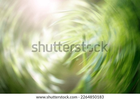 Similar – Image, Stock Photo green wave Fruit Orange