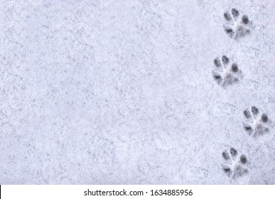 Interesting abstract white background with footprints of a cat or dog paws on the snow. Care for pets in the winter, in cold weather. - Powered by Shutterstock