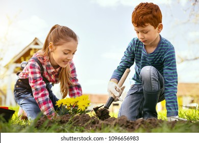 Interesting Activity. Cheerful Positive Girl Planting Flowers While Being Together With Her Brother