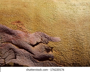 Interesting Curly Gum Tree Bark Pattern