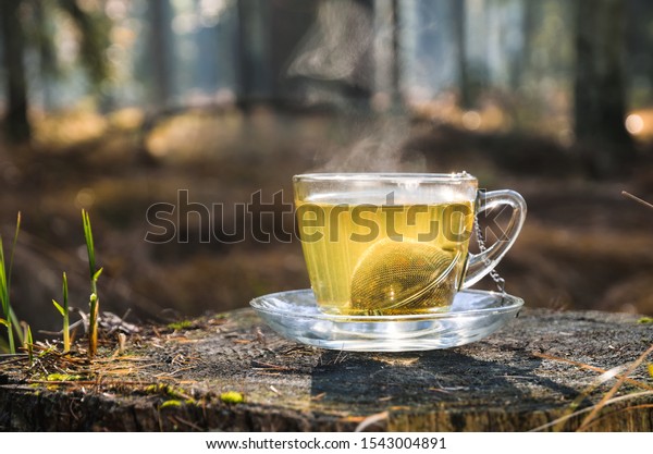 Interesting idea for an autumn drink. Tea with\
turmeric on a tree trunk in the\
forest.