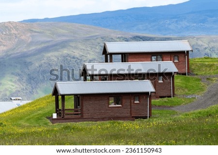 Interesting line up of log cabins in Iceland, wildflowers and mountains