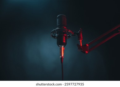 Interesting microphone for interviews and broadcasting.