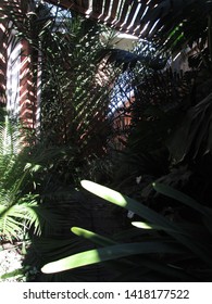 Interesting shadow patterns of the wooden backyard garden roof
