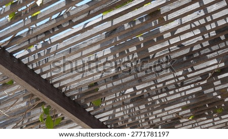 Interesting shadow patterns of the wooden backyard garden roof.