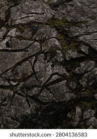 Interesting structure of the stone that fell off the rock and some moss