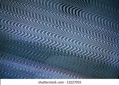 Interference Pattern Of An Analog Television