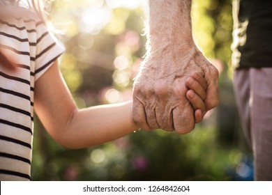 Intergenerational connection. Close up photo of child hand holding his elderly grandfather in summer outside - Powered by Shutterstock