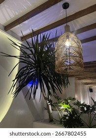 interioir design with plants and lights