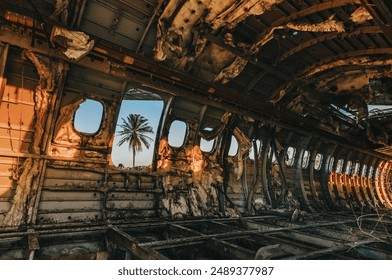 The interior of an abandoned airplane with a view of a palm tree through the window at sunset - Powered by Shutterstock