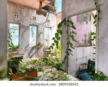 Interior of an abandoned building featuring a rusty hospital bed, broken windows, and lush vegetation reclaiming the space. Sunlight enters through old windows, creating a dramatic scene of decay, abandonment, and nature's resilience.