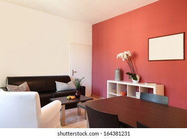 Interior Of Apartment, Living Room With Red Wall