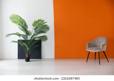 a Interior armchair with green plant on white orange black background - Powered by Shutterstock