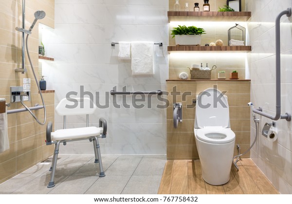 Interior Bathroom Disabled Elderly People Handrail