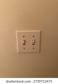 Interior Bathroom Light Switch on Residential Wall in Home Maintenance and Everyday Household Setting