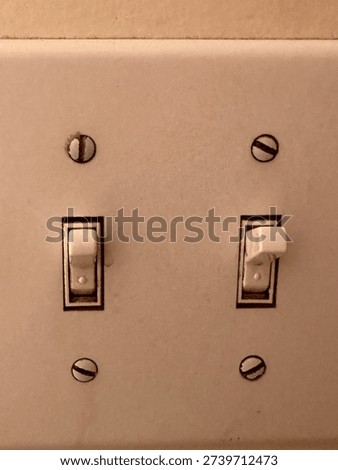 Interior Bathroom Light Switch on Residential Wall in Home Maintenance and Everyday Household Setting