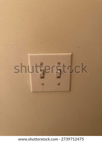 Interior Bathroom Light Switch on Residential Wall in Home Maintenance and Everyday Household Setting