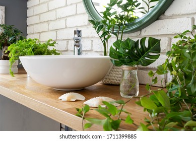  Interior Of Bathroom With Natural Jungle Of Plants. Bathroom With Ceramic Washbasin, Faucet And Green Plant And Leaves On Wooden Counter. Greenery At Design Home. Close Up