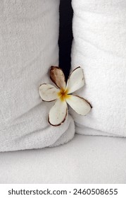Interior close up photo view of a tiny narroe black hle space in between two 2 big large XXL soft comfortable comfort pillows with a white lotus flower plant with 5 soft petals softness zen